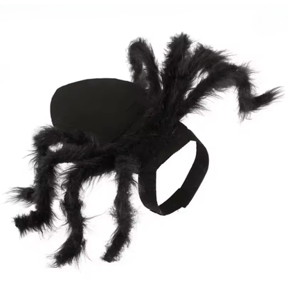 SpiderCat Costume